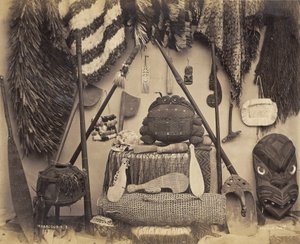 Maori curiosa door Pulman Studio